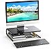 Monitor Stand Riser, Monitor Riser, Laptop Stand for Desk, Laptop Riser, Desk Organizer for Monitor, Laptop Shelf w/Vented for Screen, Computer Stand for Laptop, PC, Printer, for Home & Office