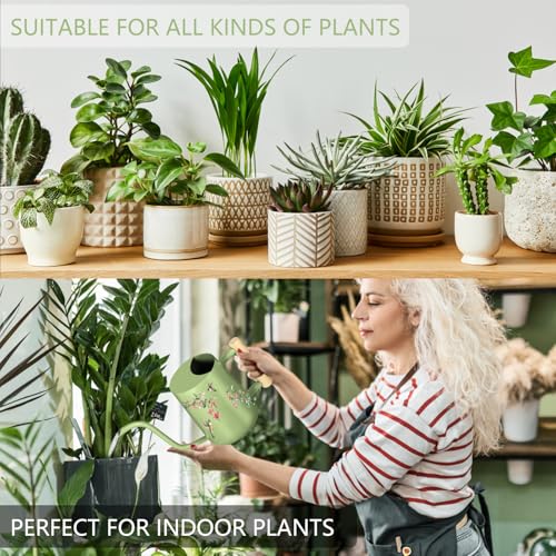 Image of Watering Can Indoor Plants, 35oz Small Stainless Steel Metal Watering Can Modern Decorative Watering Pot with Long Spout for Indoor House Plant Bonsai Garden Flowers (Saga Green 2)