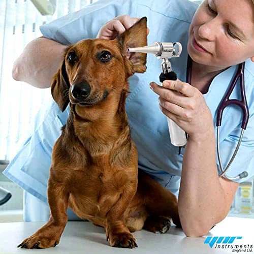 YNR Vet Operation Magniscope Otoscope vétérinaire Hartmann Spéculum Vétérinaire Diagnostic médical vétérinaire CE