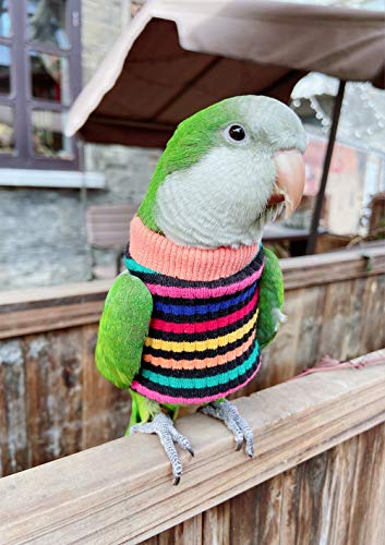 Image of Parrot Bird Supplies - Warm & Comfortable Tiger Skin Clothes for Green Cheek, Little Sun, Monk, Starling, Mynah & Senegal Parrots - Mini Macaw Sweater (L)