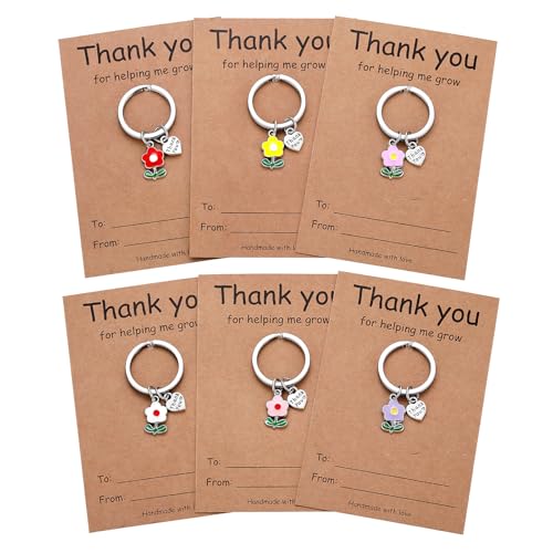 iWenSheng Teacher Appreciation Gifts for Women - 6 PCS Teachers Keychain Thank You Teachers Keyring Valentines Day Christmas Gift for Teacher