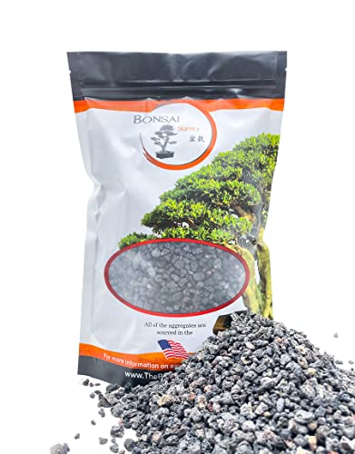 The Bonsai Supply Black Lava Rock