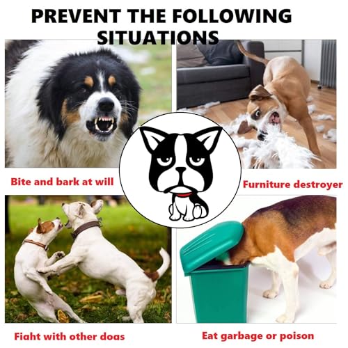 Hundemaulkorb verhindert Beißen und Fressen Bellen und Kauen, Nylon-Maulkorb für kleine, mittelgroße Hunde mit atmungsaktivem Netz, weicher Hunde-Mundschutz mit Verstellbarer Schlaufe (XS)