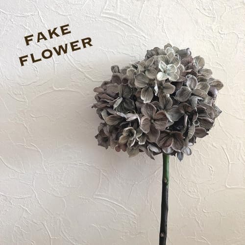 tFCNO[ nChWA z AWTC  CeA XbO hCt[ 