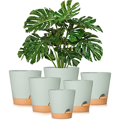 Our Best Flower Pot Plants Top 11 Model Reveled! BNB