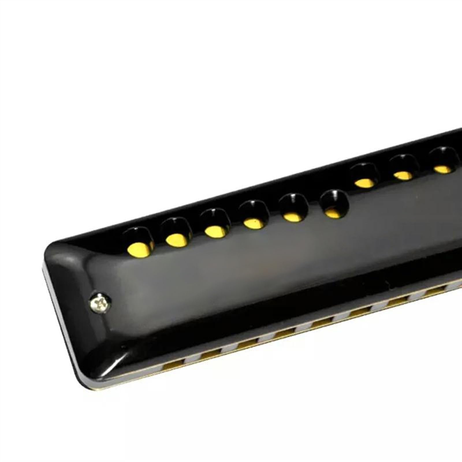 Armonica Armonica diatonica a 10 fori Blues Harp tonalità di Do