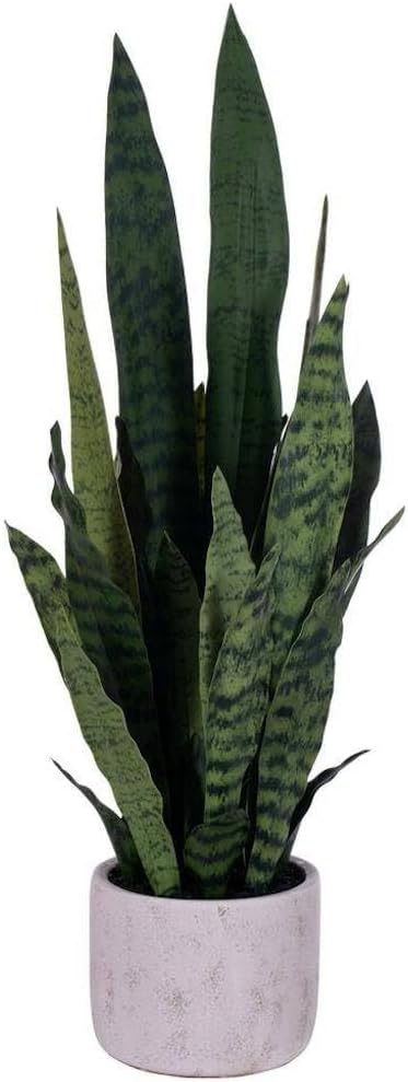 Vickerman 725665-28" Green Snake Plant in Gray Cement Pot (FE224128) Home Office Bushes