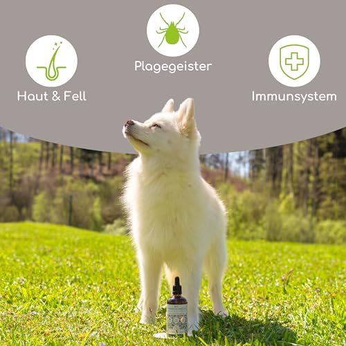 Wolfsbacher Natur Bio Schwarzkümmelöl für Hunde kaltgepresst 50 ml