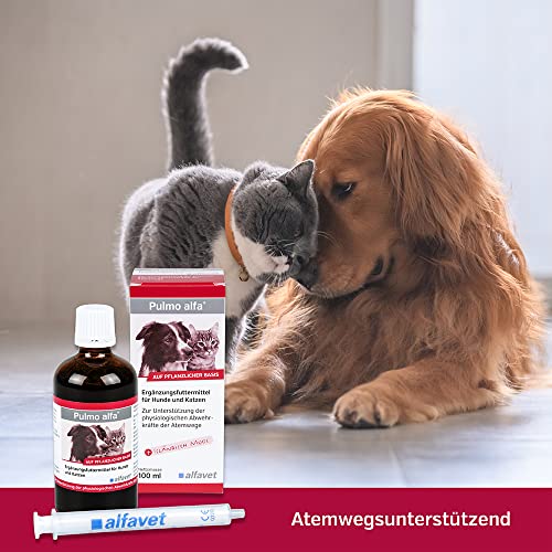 Alfavet Pulmo alfa, Saft zur Unterstützung der Atemwege von Hund und Katze, Ergänzungsfuttermittel, 100 ml mit Dosierspritze