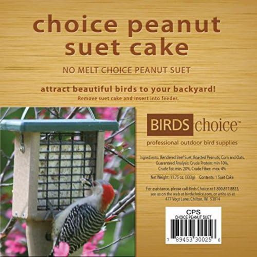 Naturesroom Suet Feeder for Birds - Include 2 Bonus Suet Cake Cage Feeder Packs -Premium Suet Cakes for Feeder Basket Holder