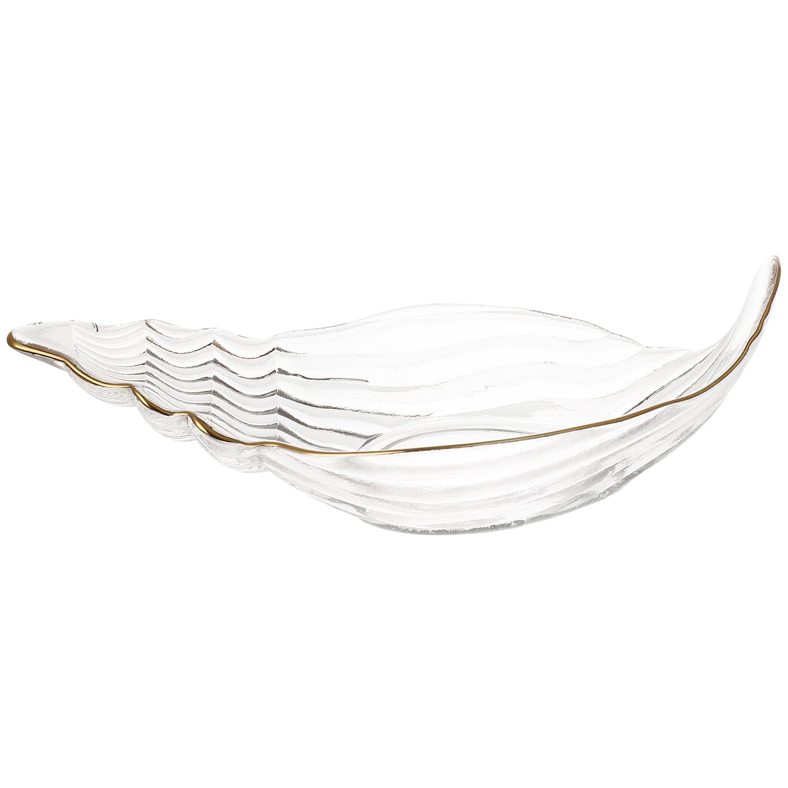 Plante aérienne en coupelle coquillage de mer, idée de décoration poétique