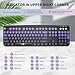 FD Wireless Keyboard and Mouse Combo | Cute Colorful Keyboard and Mouse with 2.4GHz Cordless Retro Typewriter Keyboard | Auto-Sleep | USB Receiver for Windows PC/Laptop - Black Purple Gradient