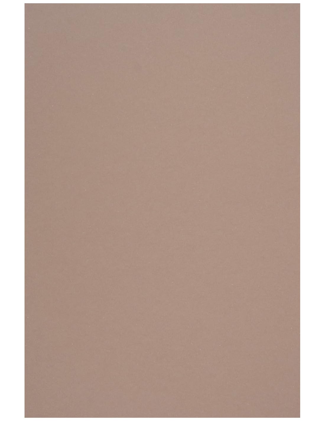 Netuno 10x Light Brown Cardboard A4 210x297mm 8.3x11.7in 250gsm Crush Almond Natural Paper Elegant Printable Cardboard Coloured Recycled Paper for Invitations Business Cards brochures Book Covers