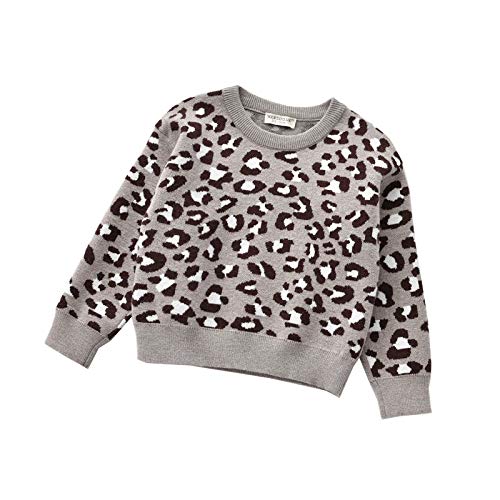 YHLZBNH Toddle Baby Girl Boy Knit Leopard Pullover Sweater Kids Warm Coats Fall Winter Long Sleeve Tops Clothes (Gray, 110)