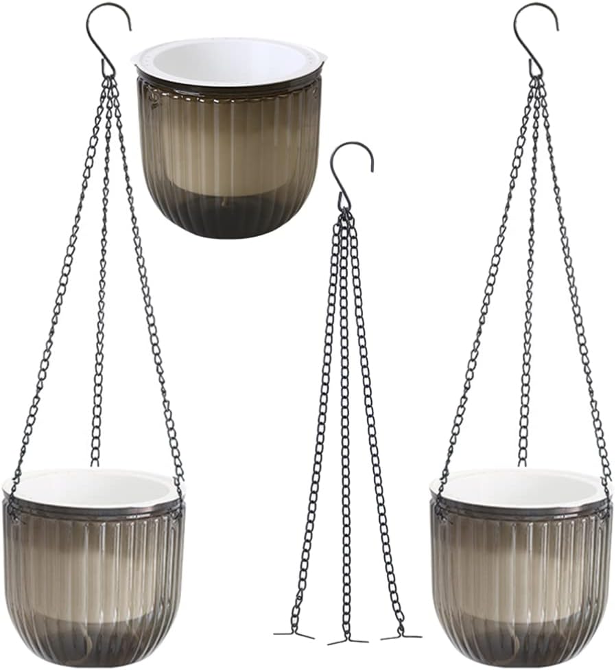 CRACK 01 & 02, TOWER 02（Iron） 4点 アガベ アガベ チタノタ タワー