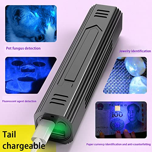Lampe de poche UV noire détection chat lit pour animaux taches sèches