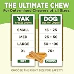 EcoKind Premium Gold Monster Yak Cheese Himalayan Dog Chew, Dog Treats Large Breed, All Natural, High Protein, for Aggressive Chewers, XL - 9+ Chews (3 Lbs) - Image 4