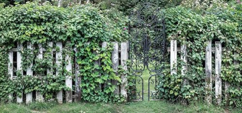 Secret Garden Natural Picket Fence Foliage HD Garden Mural Tapestries Outdoor Curtain Banner Privacy Screen Wall Hanging 3D Tapestry Backdrop Display W400cm x H180cm, W157.48 inches x H70.87 Inches