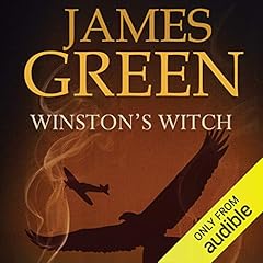 Winston's Witch cover art