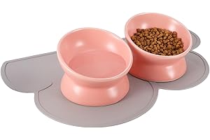 Elevated Cat Bowls with Non-Slip Mat: Purrfect for Your Feline's Comfort and Well-being