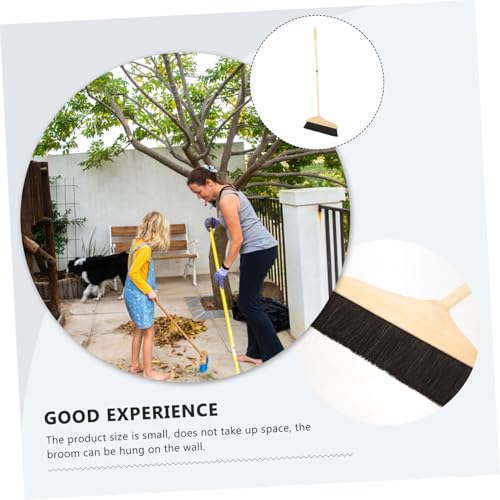 Anneome Rosshaarbesen mit Ergonomischem Holzstiel Weiche Antistatische Borsten Langstieliger Haushaltsbesen für Teppich und Bodenreinigung Langlebiger Kehrbesen aus Holz Schonend – Bild 5
