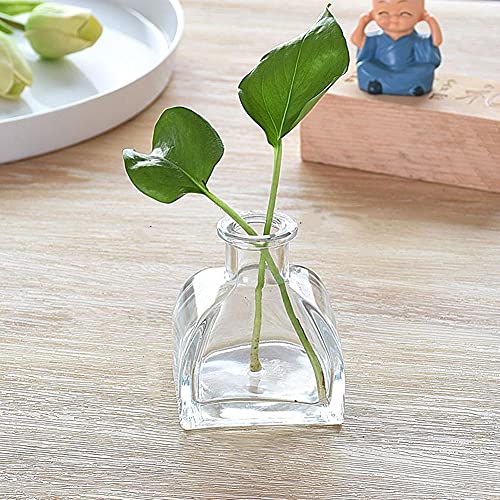 Set 2 Botellas Difusoras de Vidrio Vacías 3.4 OZ miniatura 3