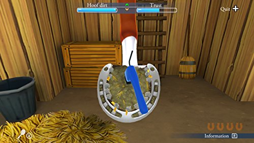 My Riding Stables - Life with Horses - Nintendo Switch - Image 4