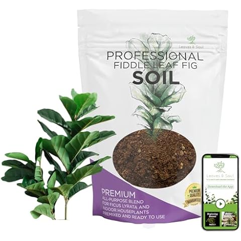 Fiddle Leaf Fig House Plant Soil Premium All Purpose Blend | Large 2.2 Quarts | Ready to Use for Indoor Houseplants | Peat, Sawdust, Course Sand and Pinebark | Made in USA Cover
