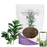 Fiddle Leaf Fig House Plant Soil Premium All Purpose Blend | Large 2.2 Quarts | Ready to Use for Indoor Houseplants | Peat, Sawdust, Course Sand and Pinebark | Made in USA