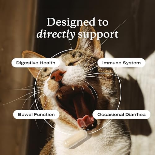 PetLab Co. Probiotics for Cats, Support Gut Health, Occasional Diarrhea, Digestive Health & Immune Support - Easy to Use - 30 Count - image 4