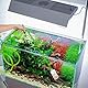 NEUSID Mulmsauger Aquarium, Aquarium Sauger für Wasserwechsel und Filter Sandreinigung Handbetriebener Aquarium Reiniger Bodenreiniger für 10–100 Liter Fisch Tank