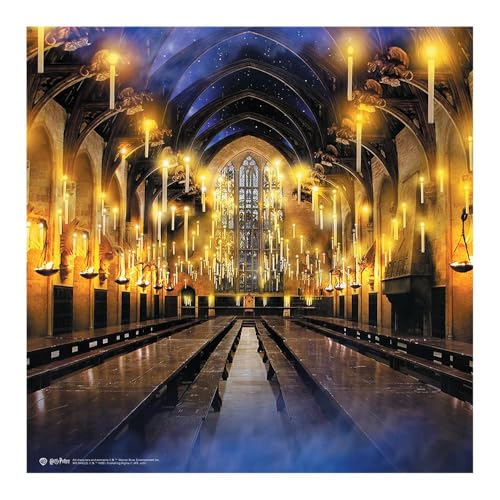 Fun Express 72 x 72 Harry Potter Hogwarts Great Hall Polyester Photo Booth Backdrop