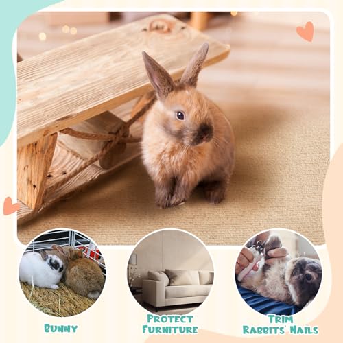 Tapis à gratter pour lapin 1m chat petits animaux autocollant