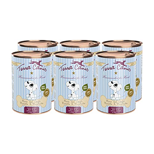 Terra Canis Rind, Apfel, Hagebutte & Karotte - Welpen Nassfutter, 6x400g I Premium Hundefutter in 100% Lebensmittelqualität Aller Rohstoffe I Reichhaltig & gesund I Allergenarm, Getreide & glutenfrei