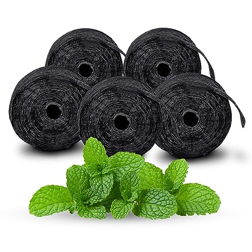 Xlent Expandable Dental Floss Treated with Activated Charcoal Xylitol Natural Plant Based Wax Refreshing Mint Flavor - Pack of 5 (Refills Only)