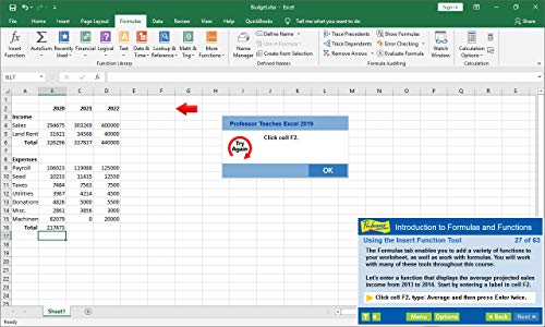 Individual Software PVM-O19 Professor Teaches Office 2019 thumb #2