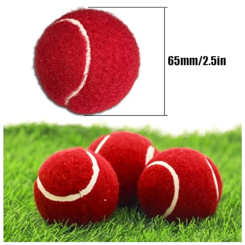 LNGJIN Tennis Balls,4 Packs Practice Tennis Balls for Beginners,Training Playing Tennis Balls for Dogs,Exercise Tennis Ball,Training Balls for Lessons,Practice, Playing with Pets - Image 3