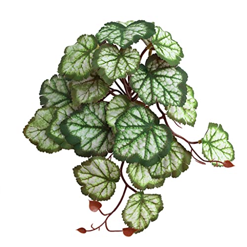 Mirweon Künstliche Terrarienpflanze für Einsiedlerkrebse, Eidechsen, Schlangen, Lebensraum, Dekoration, Terrarium, künstlich Mirweon Künstliche Terrarienpflanze für Einsiedlerkrebse, Eidechsen, Schlangen, Lebensraum, Dekoration, Terrarium, künstlich
