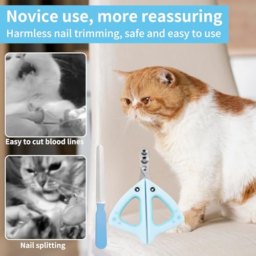 Krallenschere Katzen, Katzen Krallenschneider, Cat Nail Clipper für Kleine Hunde Welpen Katzen mit Datei(Blau), Katzenkrallen Schneider mit 2mm 4mm Loch, Anfänger Toll Geeignet, Schutz, Krallenschere