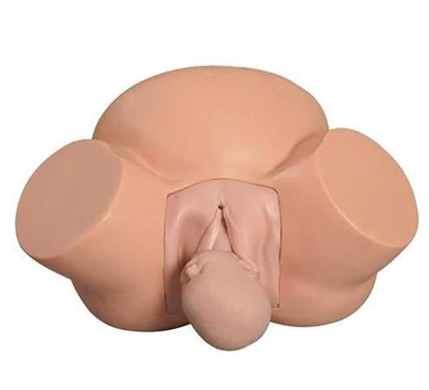 Entraîneur Pelvic Delivery AMITD bassin accouchement fœtus