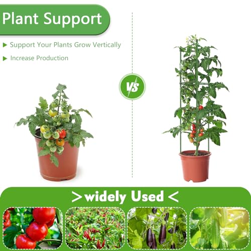 Fabulas 3 Pack Tomato Cages - Tomato Trellis Plant Support Stake Cage for Garden and Pots, Adjustable Tomato Plant Cage Tall Up to 48 Inch for Raised Garden Bed Outdoor Climbing Plants Vegetables - Thumbnail 6