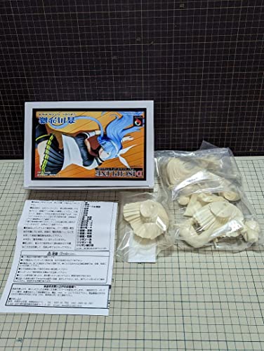 Q-six Discipline Saori Otokawa Garage Kit, First Press Limited Edition