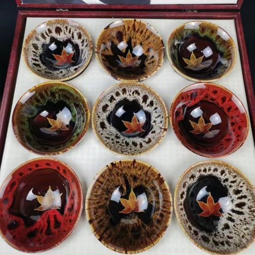 Wapik v~A  q Zbg ̍   L  Yn i }X^[  RNV `I ElZ ̂悤 Y ܂ڂ낵 ͗l GKg ؂₩ ͓I      aH 