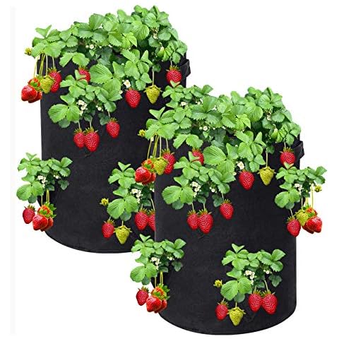 Reeyox Strawberry Grow Bag, 2 Pack 10 Gallon Strawberry Plant Bag with 8 Side Planting Pockets, Breathable Felt Material Plant Container with Handles for Balcony Courtyard Gardening (Black) Cover