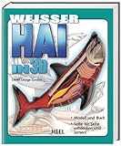 Weisser Hai in 3 D: Modell und Buch. Seite für Seite entdecken und lernen!. Mit integriertem Kunststoff-Skelett