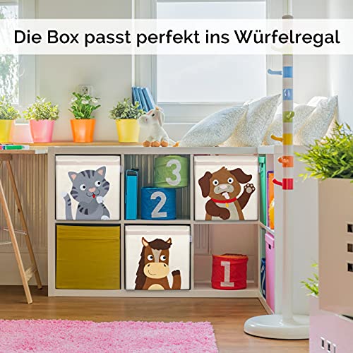 GLÜCKSWOLKE Kinder Aufbewahrungsbox - 15 Motive I Spielzeugkiste mit Deckel für Kinderzimmer I Spielzeug Boxen (33x33x33) Kiste zur Aufbewahrung im Kallax Regal I Bauernhof-Tiere Katze