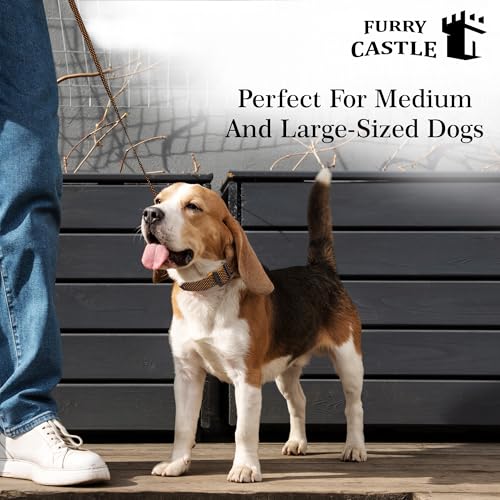 Image of Nylon Leash and Collar for Dogs with 360 Degree Rotating Clasp | Mustard Yellow | Water Proof | for Medium and Large Dogs in Medium Size