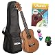 Tenor-Ukulele CASCHA Set für Kinder und Erwachsene