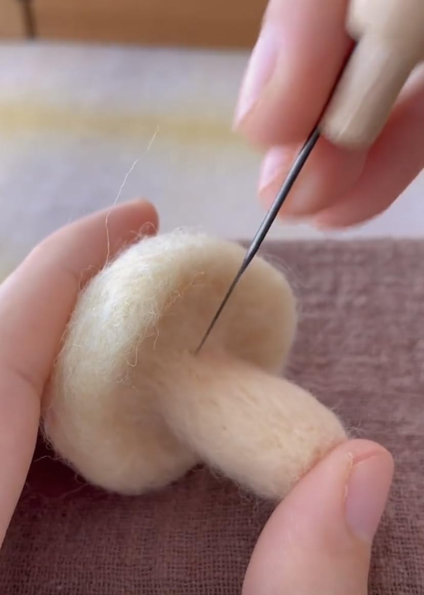 Kit Lana Cardata Per Infeltrimento - 40 Colori, 3g Ciascuno, Con Aghi In Legno, Per Fai Da Te - Foto 8