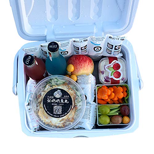 Image of Shipping Cold Pack Ice Pack Sheets for Coolers Reusable, Dry Ice Packs Freezer Packs for Shipping Food, Flexible Ice Blankets Frozen Gel Packs Keep Food Fresh Beverage Cold, 13.3 inchx6.5 inch /Sheet 50 Sheets